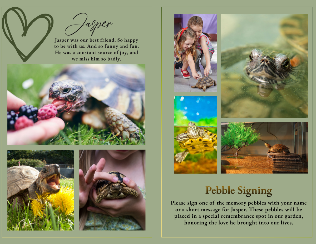 Photo collage pages displaying multiple reptile and companion moments in a clean, organized layout.
