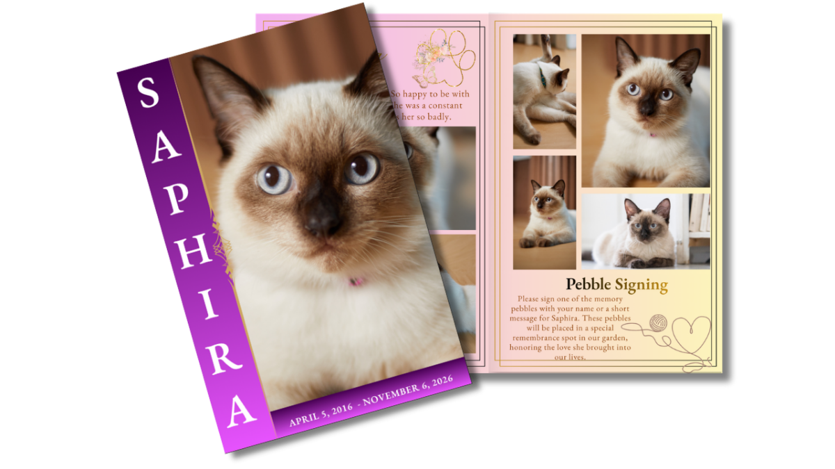 Pet cat funeral program front cover with Siamese cat portrait alongside open interior pages showing structured photo collage layouts.