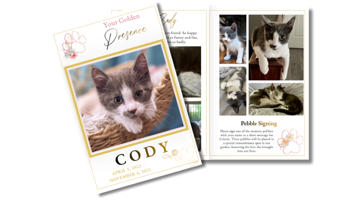 Front cover featuring a sweet kitten in a soft gold-accented frame alongside an open interior layout displaying photos and memories in a gentle, pet-focused design.