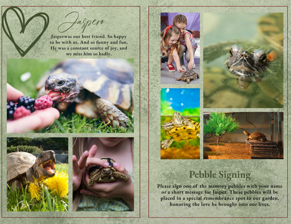 Two-page collage with multiple tortoise photos, children interacting with a turtle, outdoor scenes, and a “Pebble Signing” section for remembrance messages.