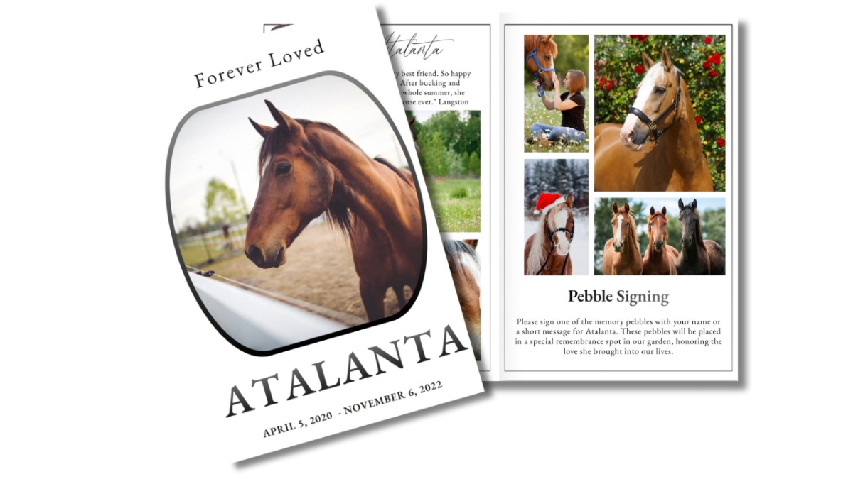Front and back covers of the Equestian Friend funeral program for horses featuring clean layouts, neutral tones, and classic typography for a refined memorial presentation.