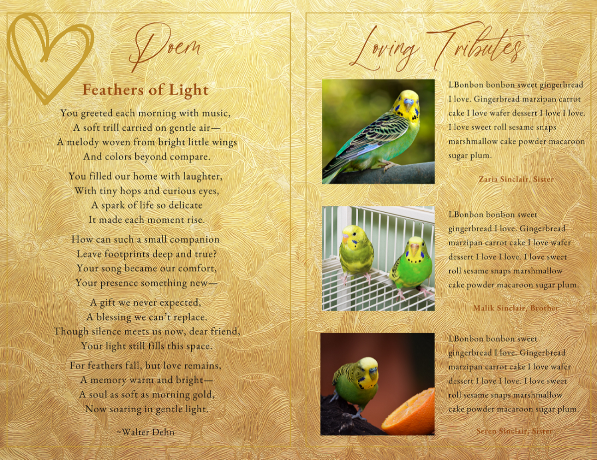 Poem page titled ‘Feathers of Light’ alongside loving tribute messages, each paired with bird photos. Gold floral-feather background and refined layout.