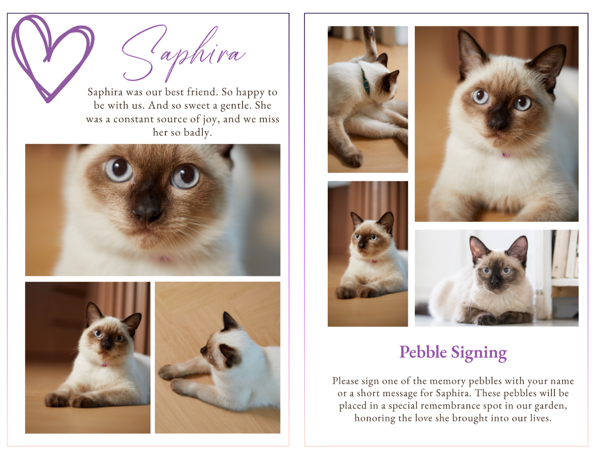 Photo collage pages showcasing multiple images of the cat in everyday moments, arranged in a warm and cohesive layout that highlights their personality and presence.
