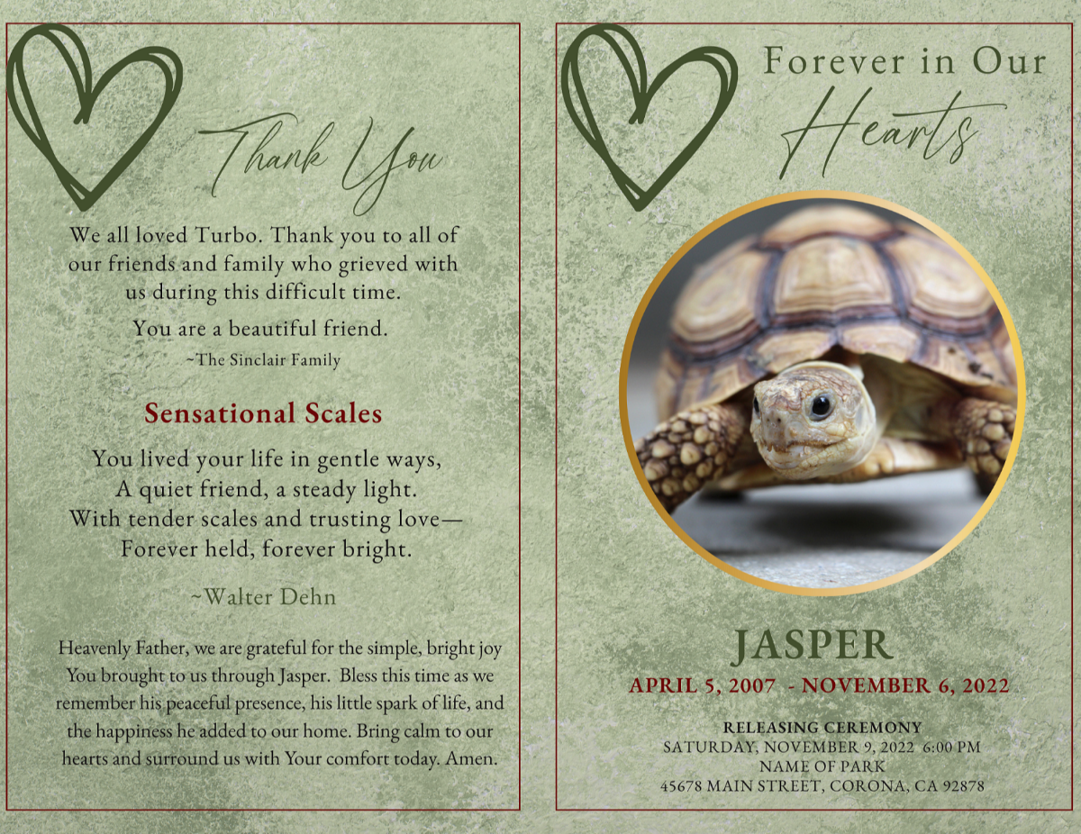 Front and back cover of the Scales of Love pet funeral program featuring soft green textures, hand-drawn heart motif, tortoise portrait in gold frame, and thank-you message with matching poem.