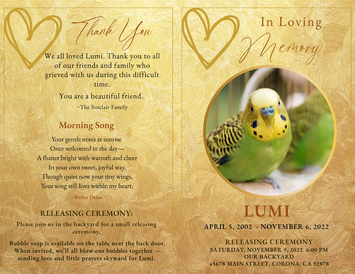 Thank-you message with heart-feather illustration, memorial poem ‘Morning Song,’ and alternate front cover featuring yellow and green budgie portrait framed in gold.
