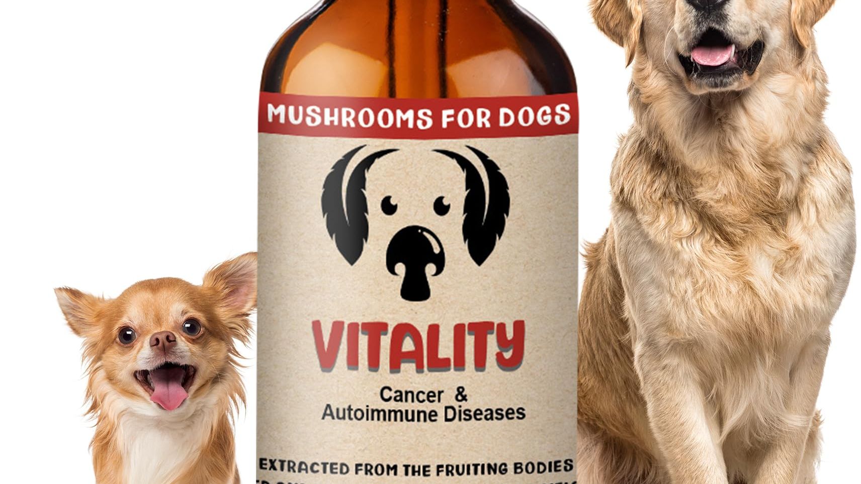 CBD Dog Health medicinal mushrooms