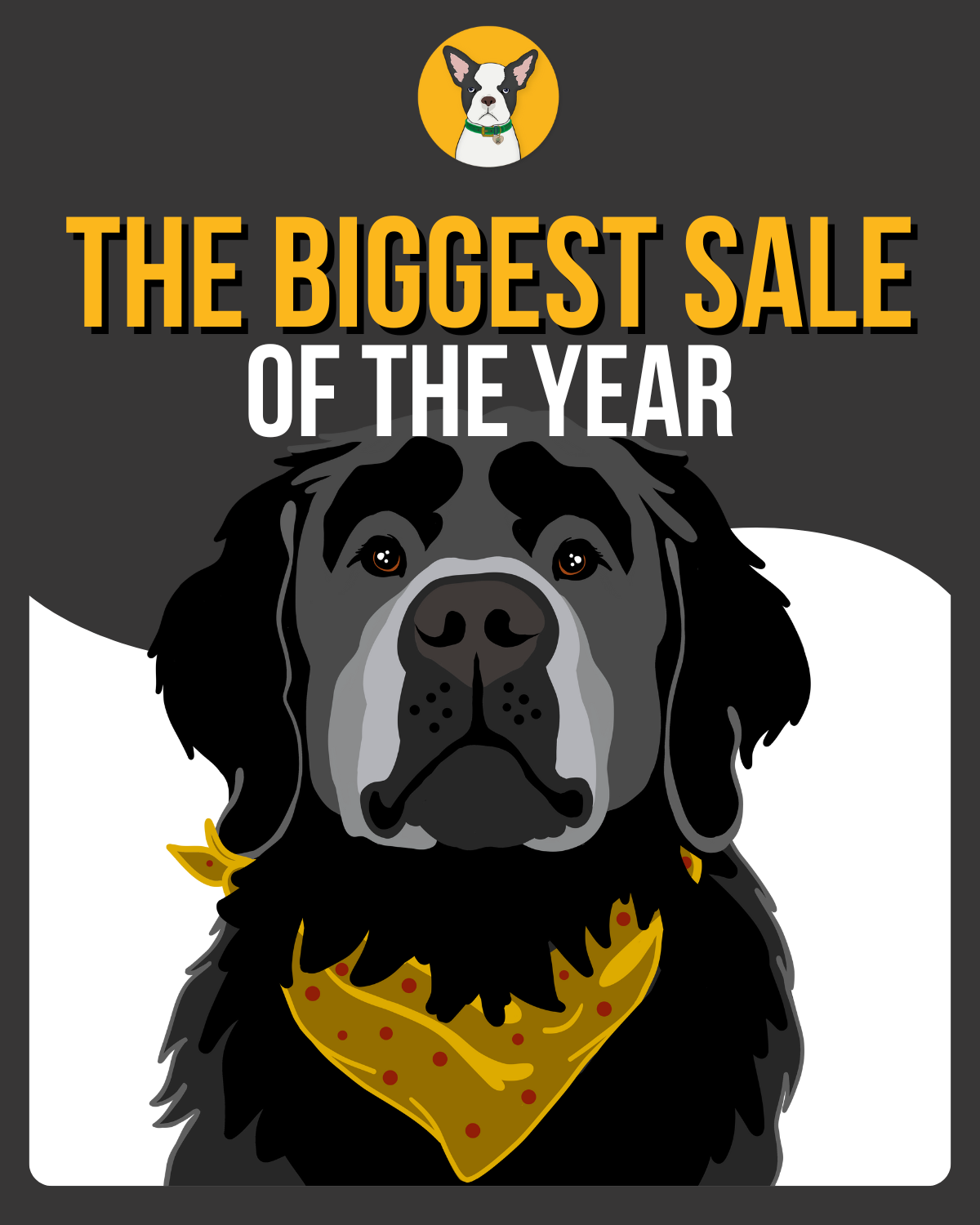 the biggest sale of the year at CBD Dog Health for black friday