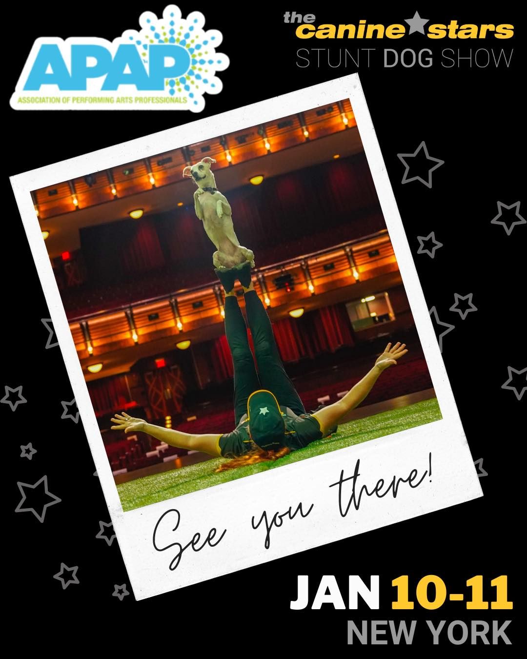 Stunt Dog Show at Association of Performing Arts Professionals