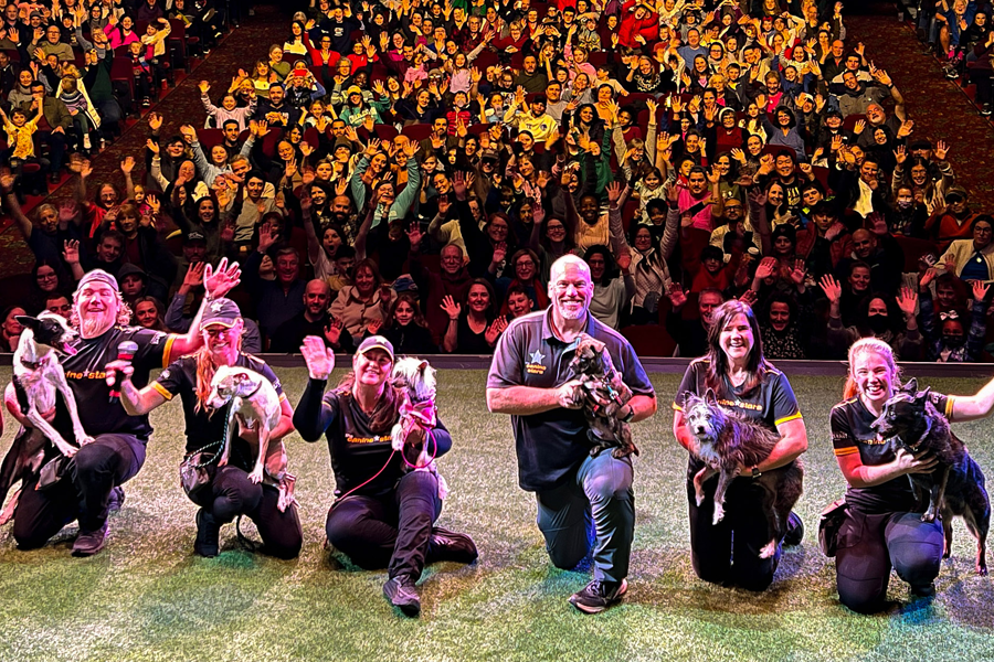 Who are the Canine Stars trainers and dogs?