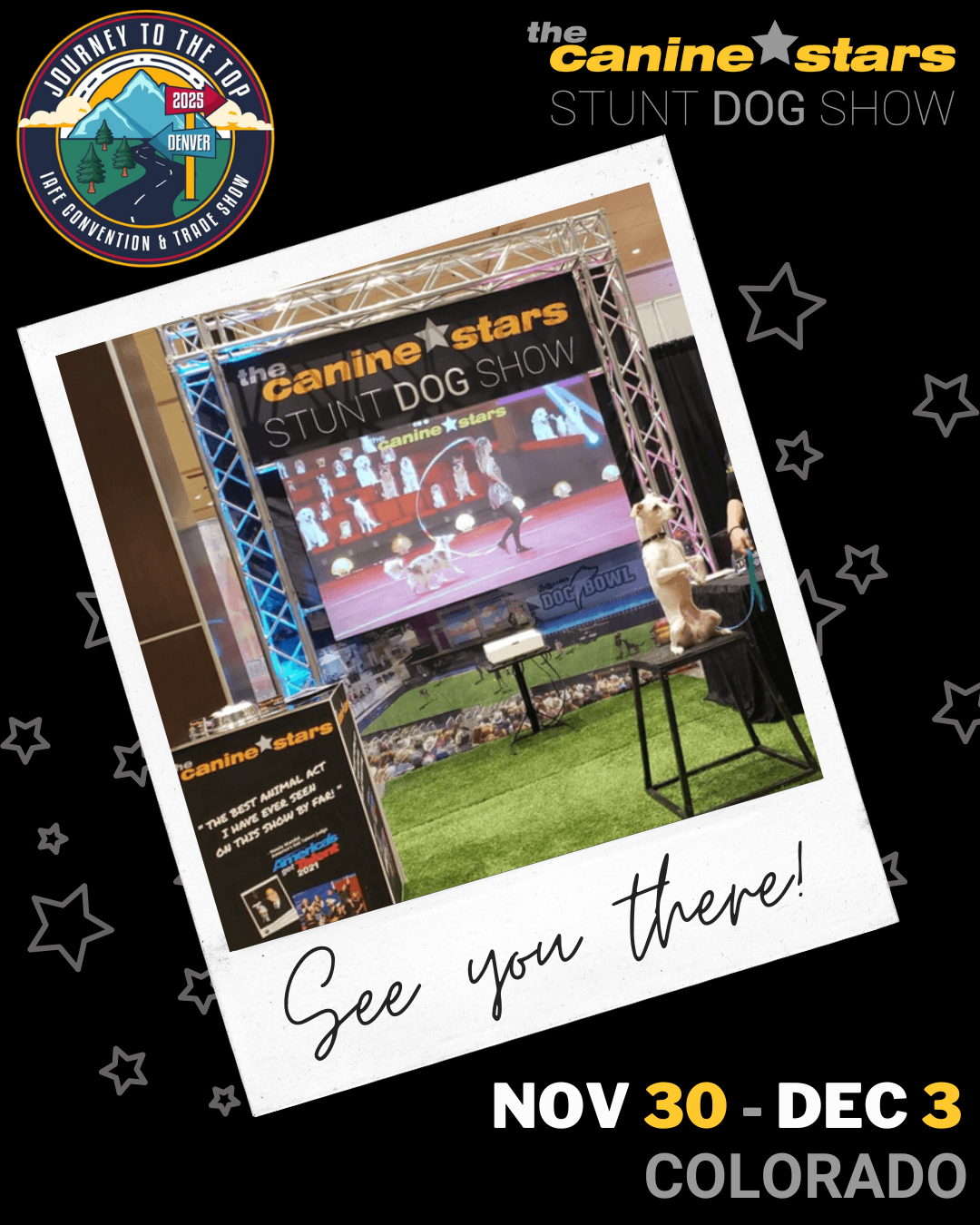 Stunt Dog Show