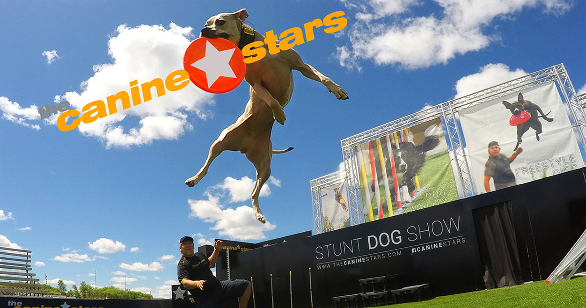 Auburn's Pet Palooza – Canine Stars Stunt Dog Show in Washington