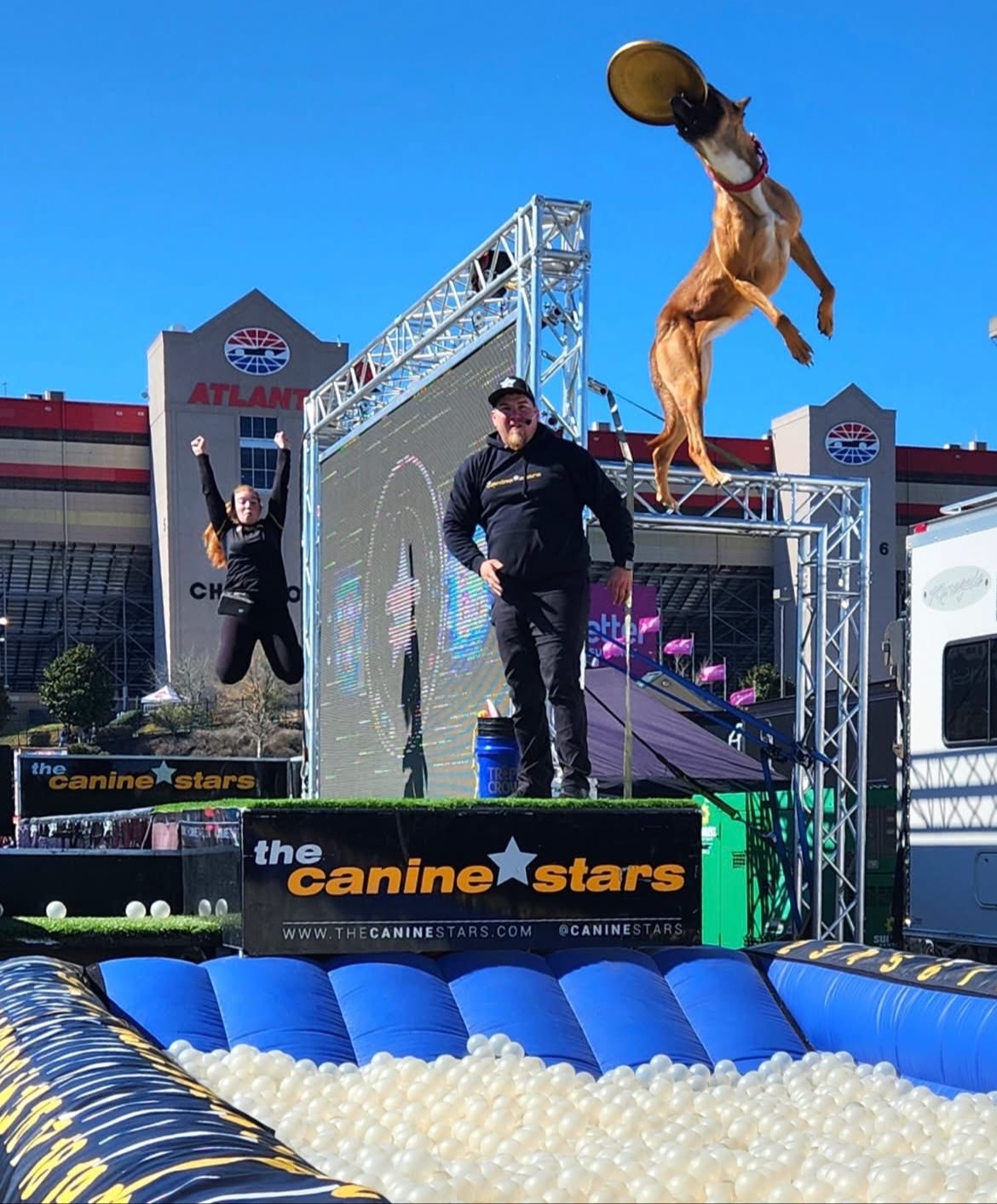 Stunt Dog Show