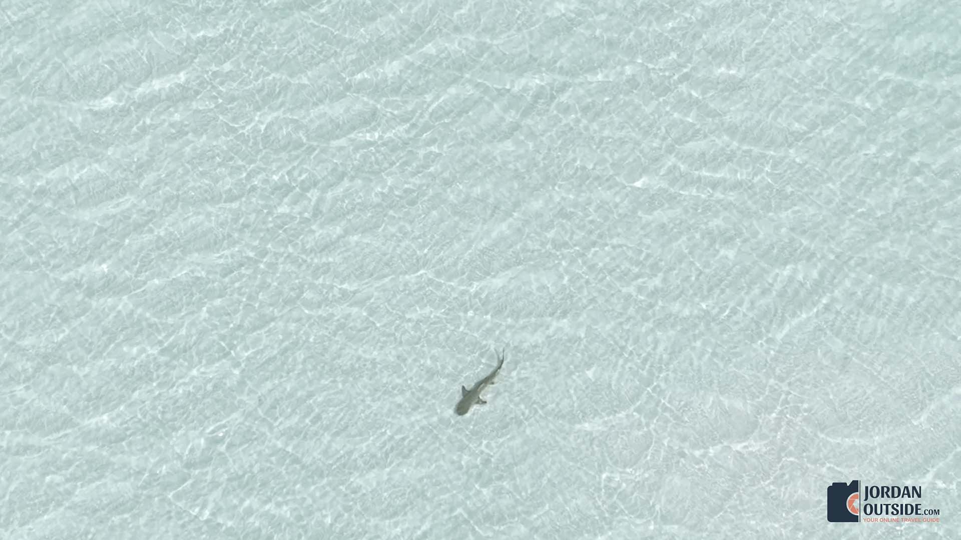 Long Island, Bahamas Boat Excursion Review