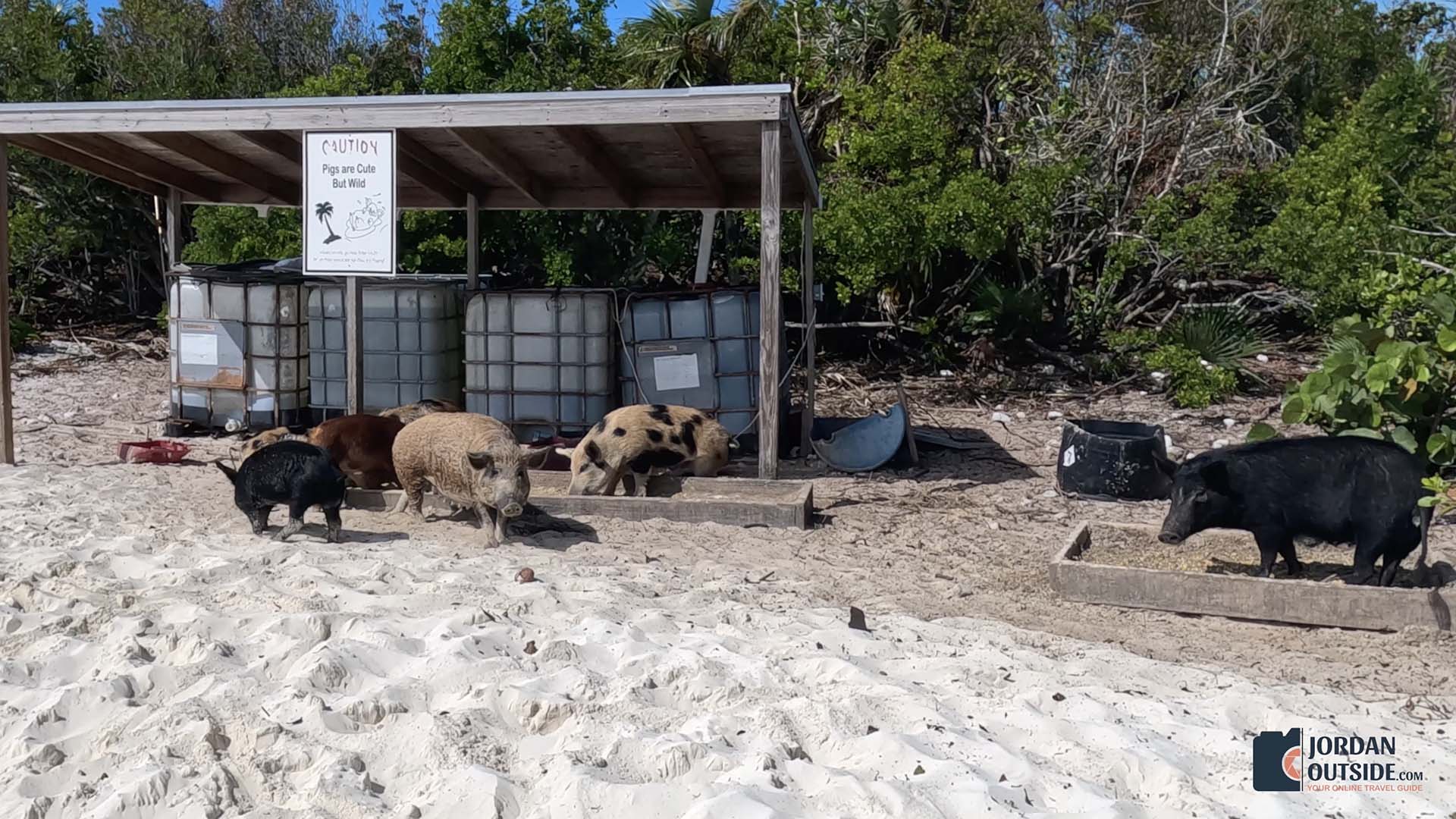 Long Island, Bahamas Boat Excursion Review