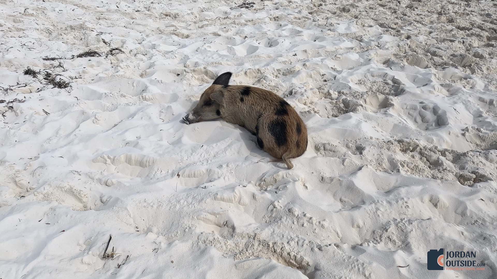 Long Island, Bahamas Boat Excursion Review