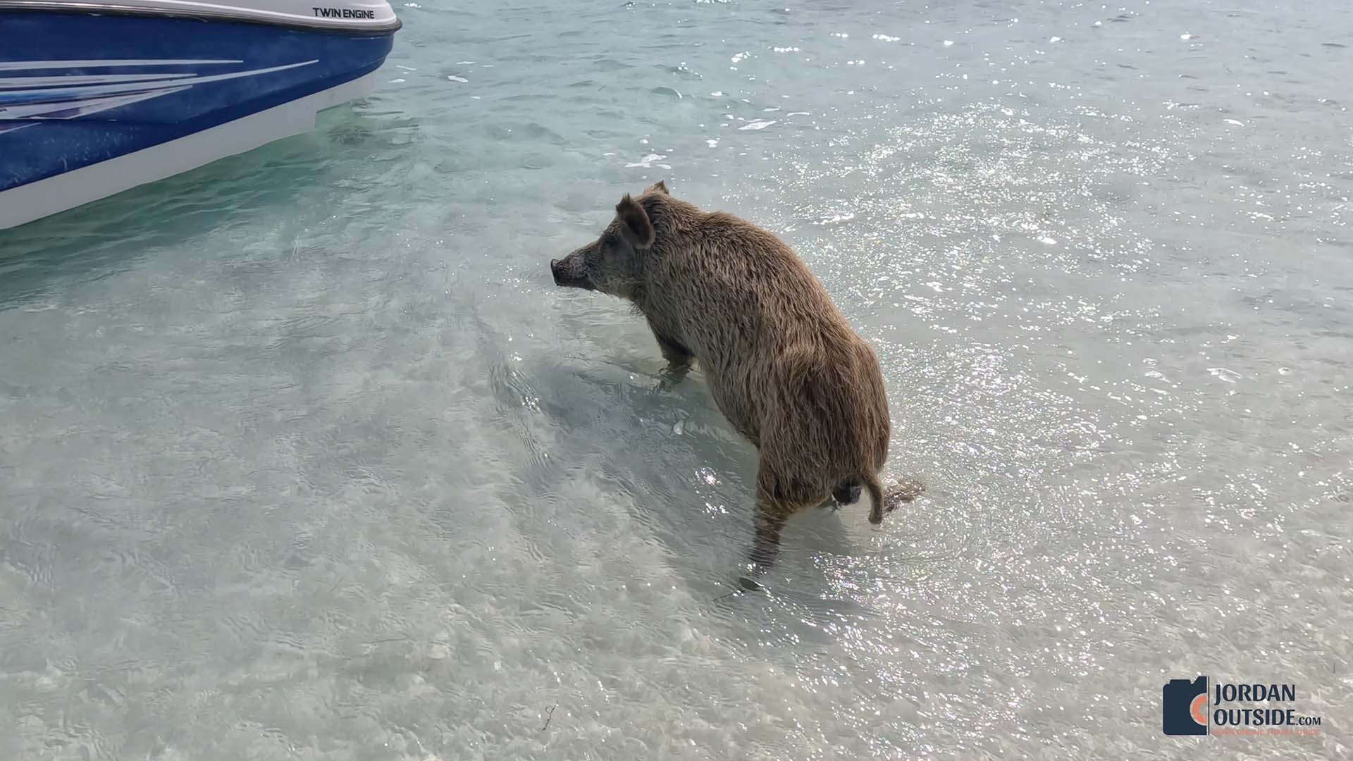 Long Island, Bahamas Boat Excursion Review