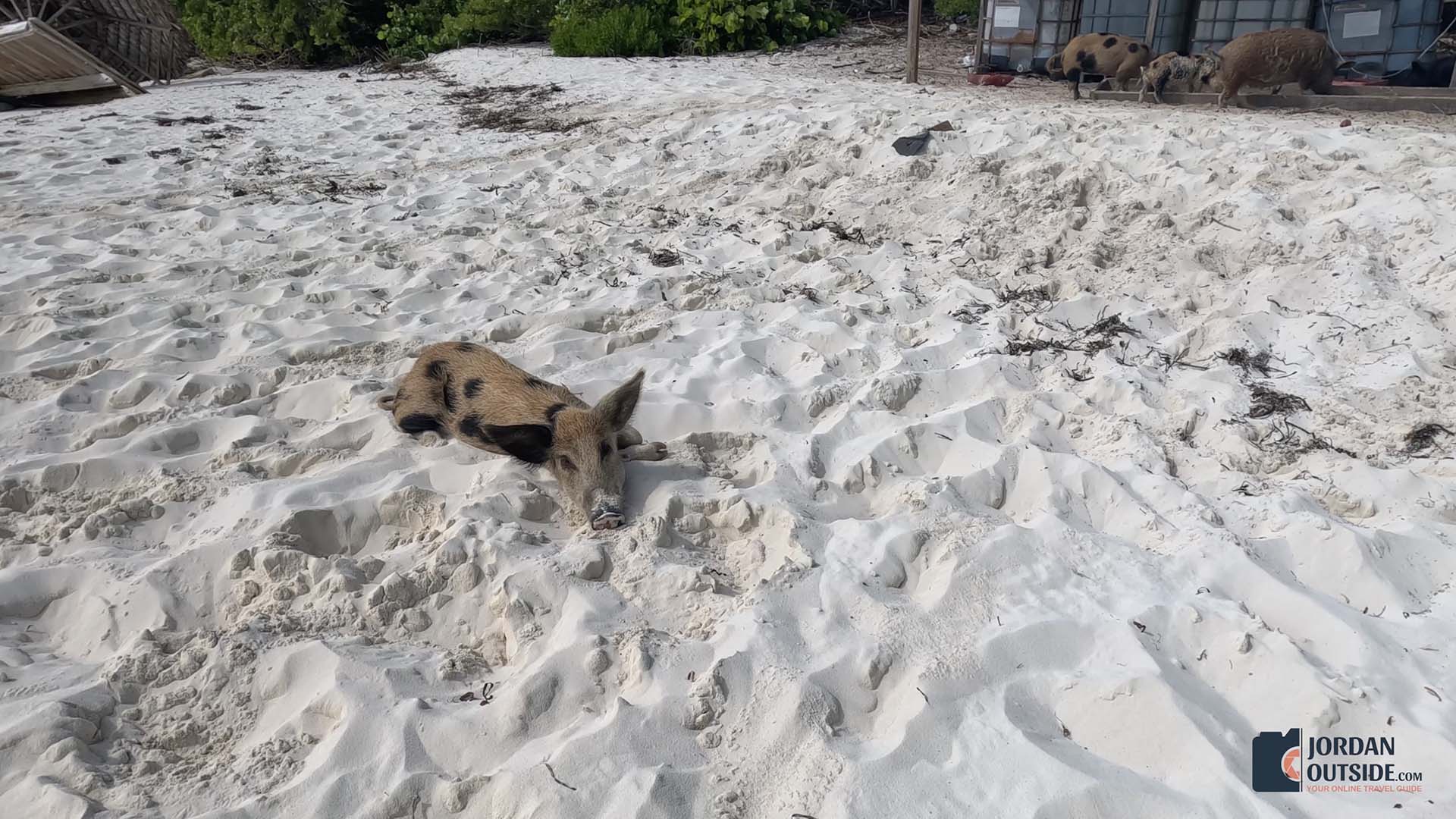 Long Island, Bahamas Boat Excursion Review