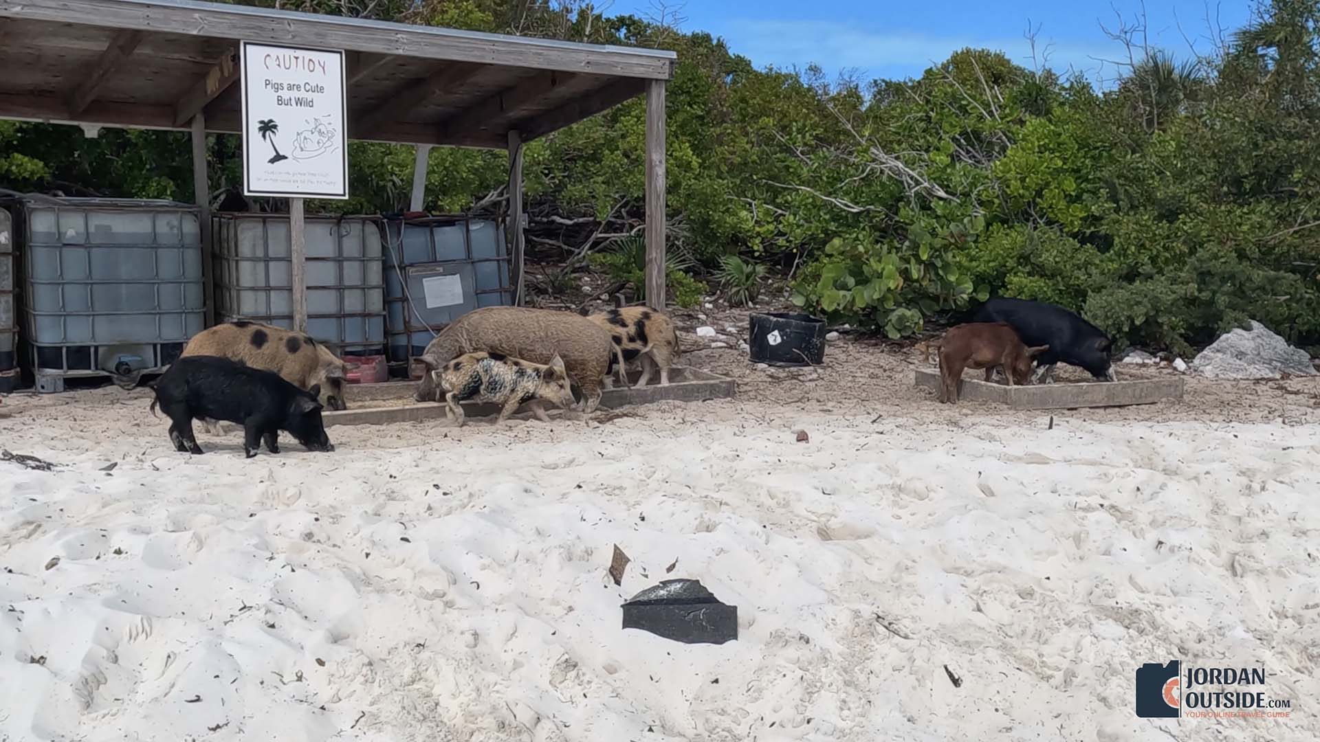 Long Island, Bahamas Boat Excursion Review