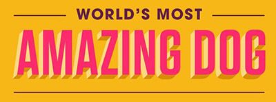 Canine Stars on World's Most Amazing Dog