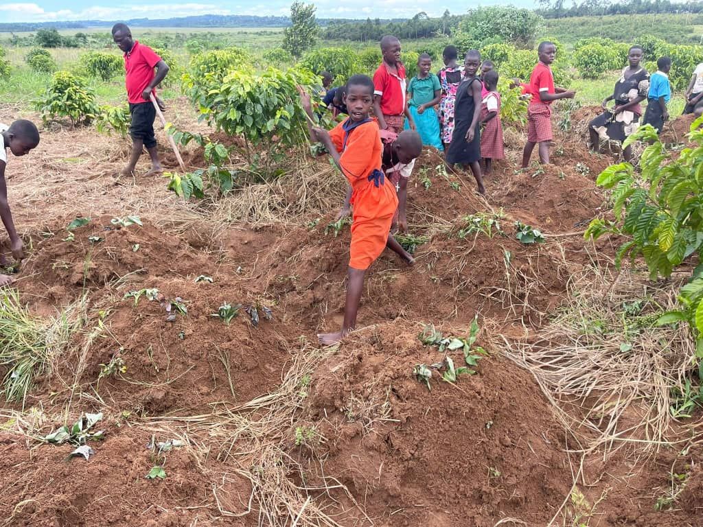 ローフード料理実習