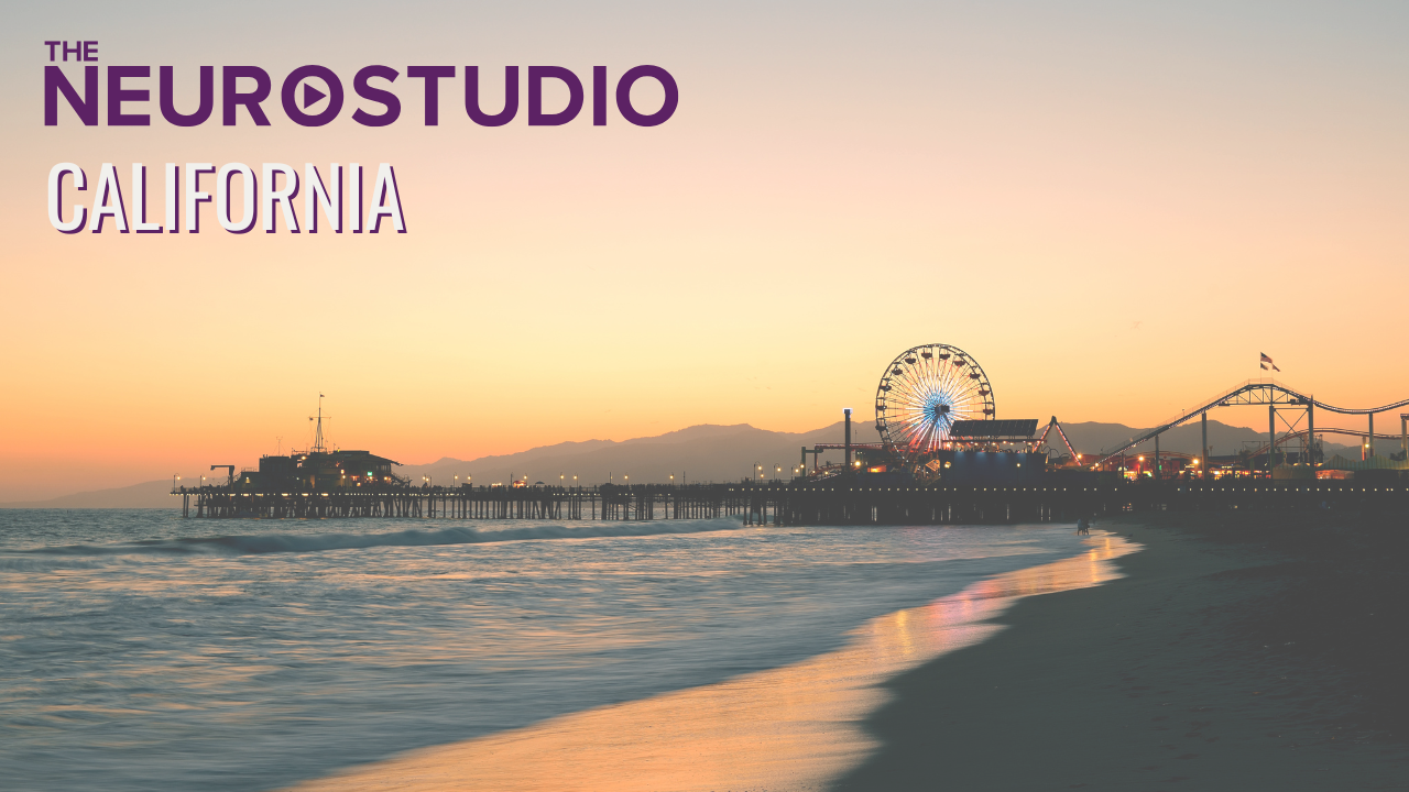 The Neuro Studio Coaching Session