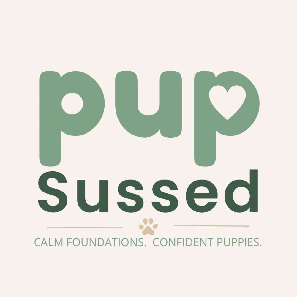 Footer Logo