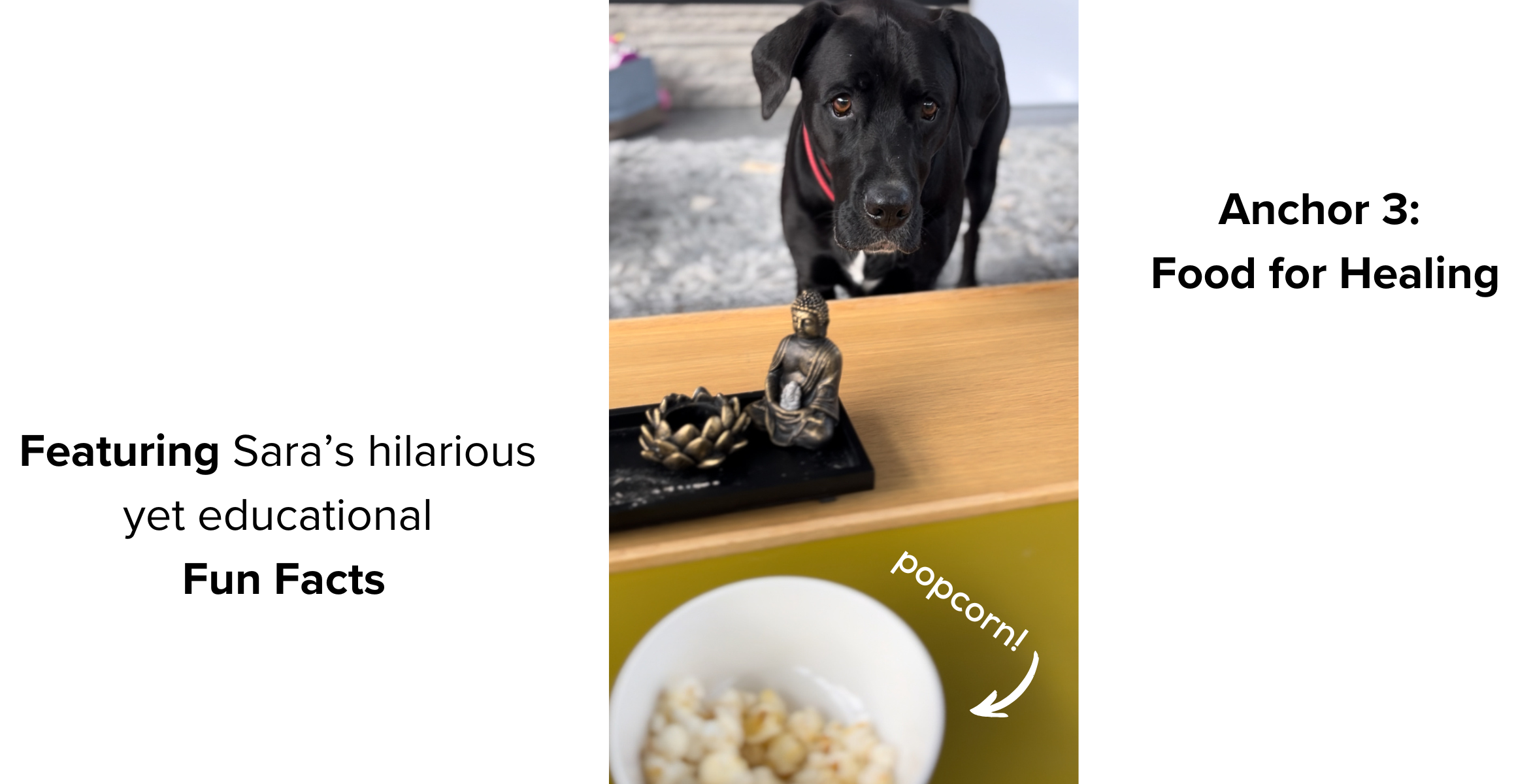 Anchor 3 of The Cancer Comeback Club: Food for Healing, featuring Ernesto inspecting a bowl of popcorn alongside Sara's hilarious yet educational Fun Facts on plant-based nutrition for cancer survivors.