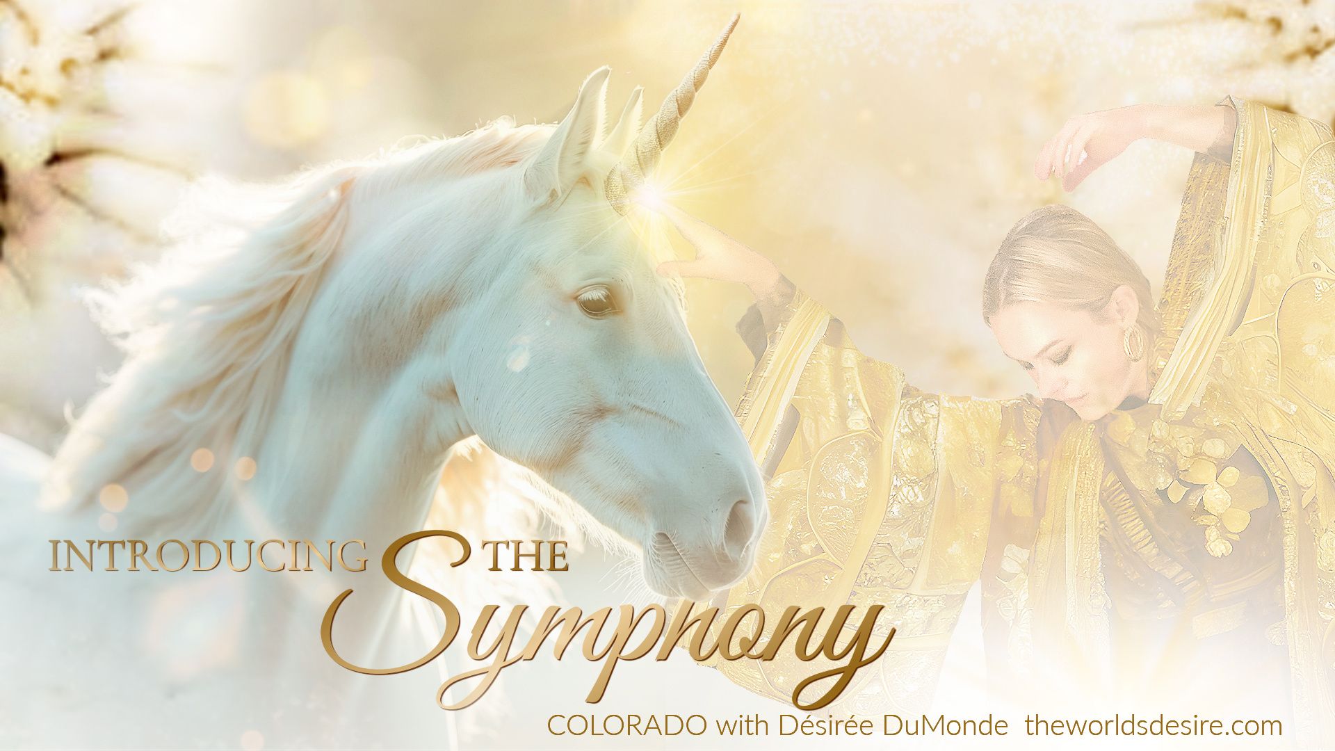 Introducing the Symphony Colorado