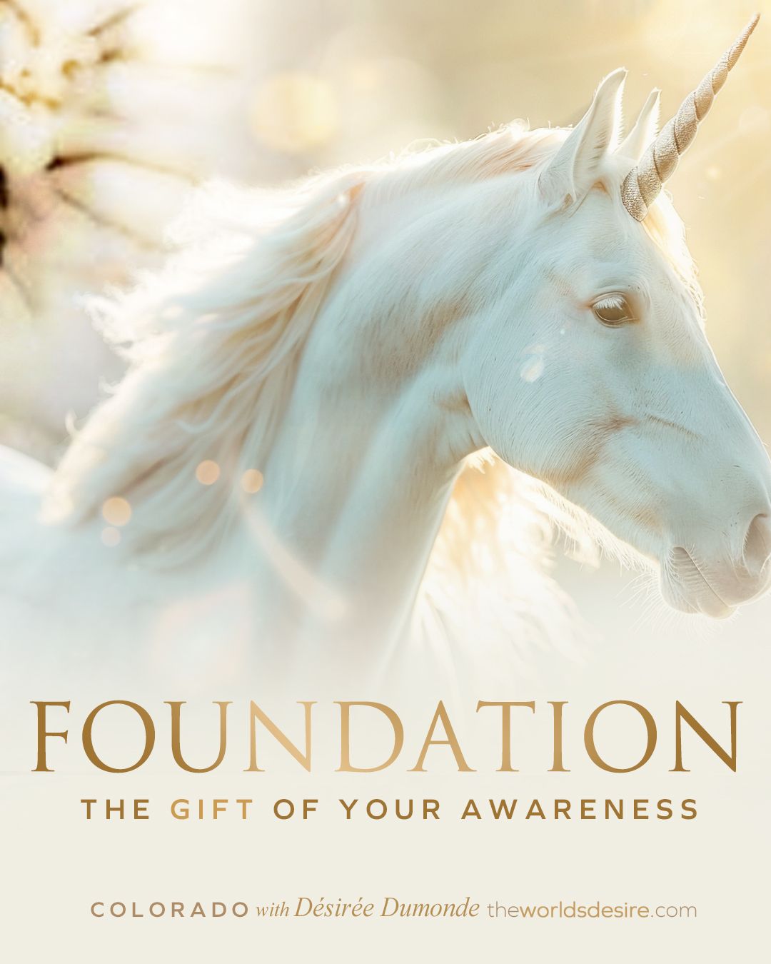 Access Foundation at Castello di Casalborgone