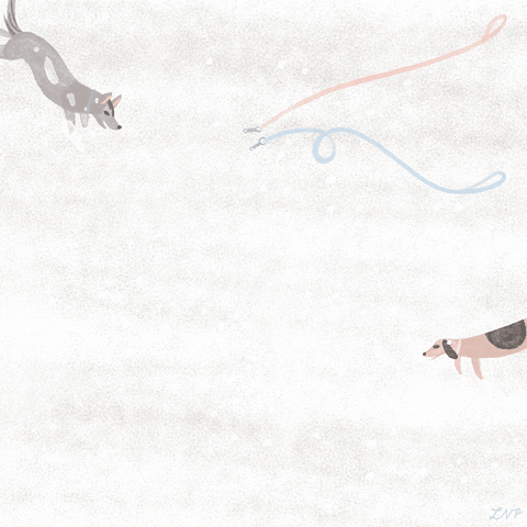 GIF of Puppies Joyfully Playing in The Snow