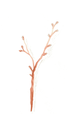 GIF of a Serene Woman Relaxing and Drinking Tea