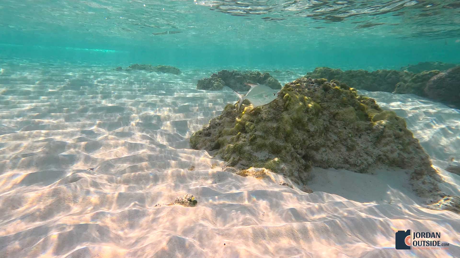Serenity Beachfront Cottage, Long Island, Bahamas