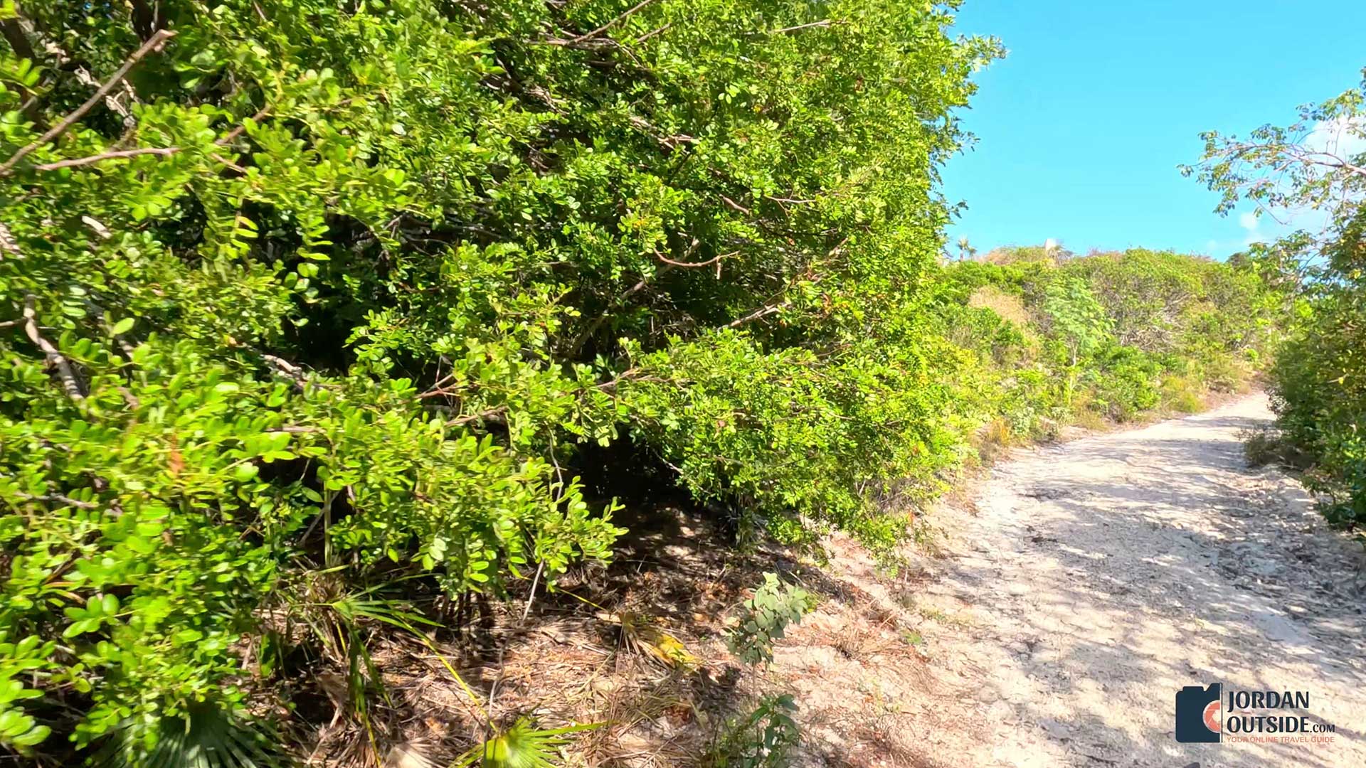 Serenity Beachfront Cottage, Long Island, Bahamas