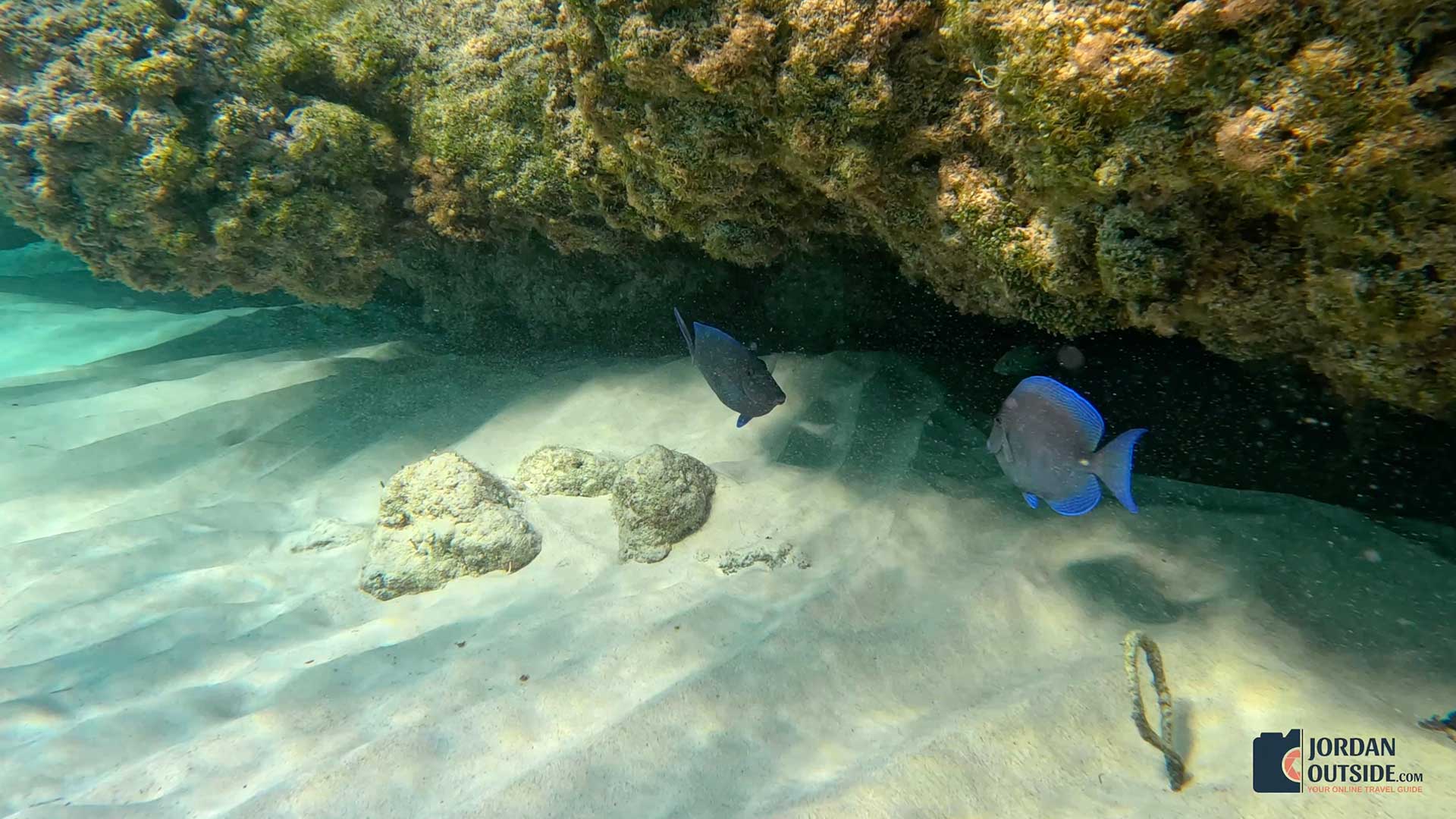 Serenity Beachfront Cottage, Long Island, Bahamas