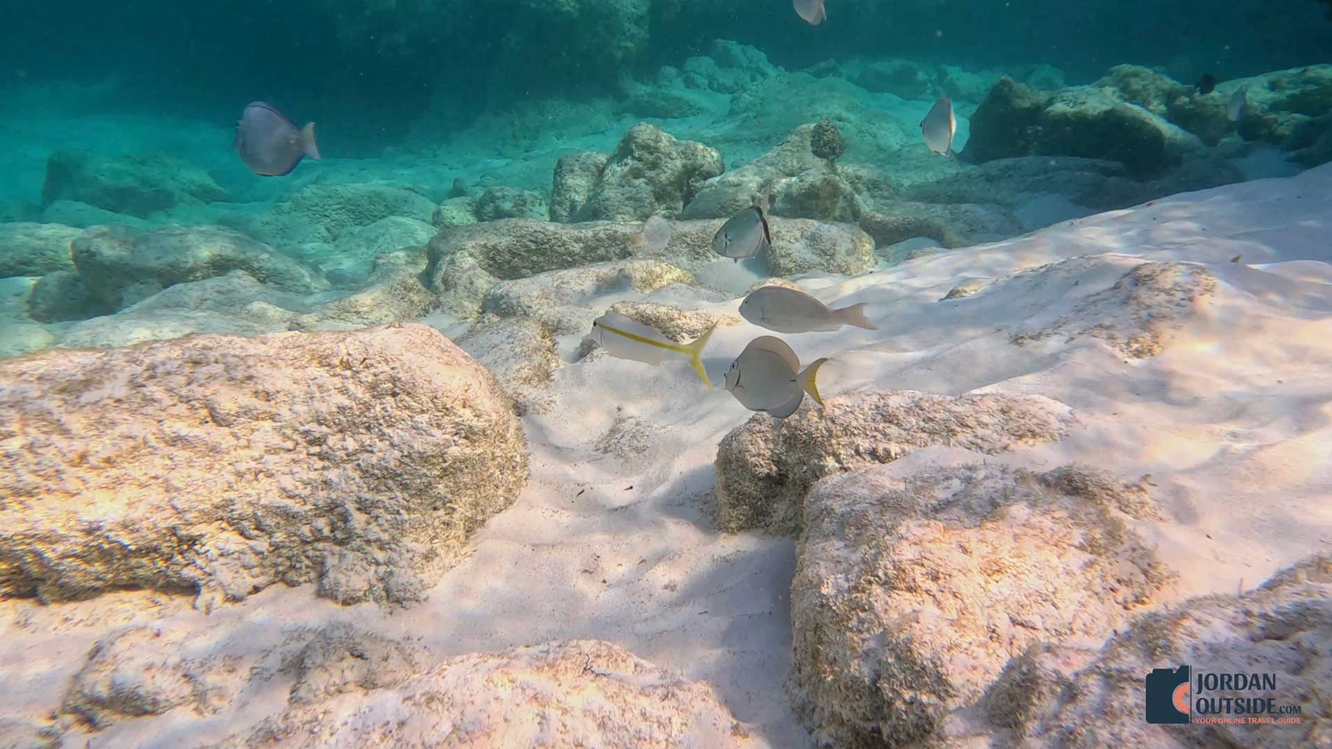 Serenity Beachfront Cottage, Long Island, Bahamas