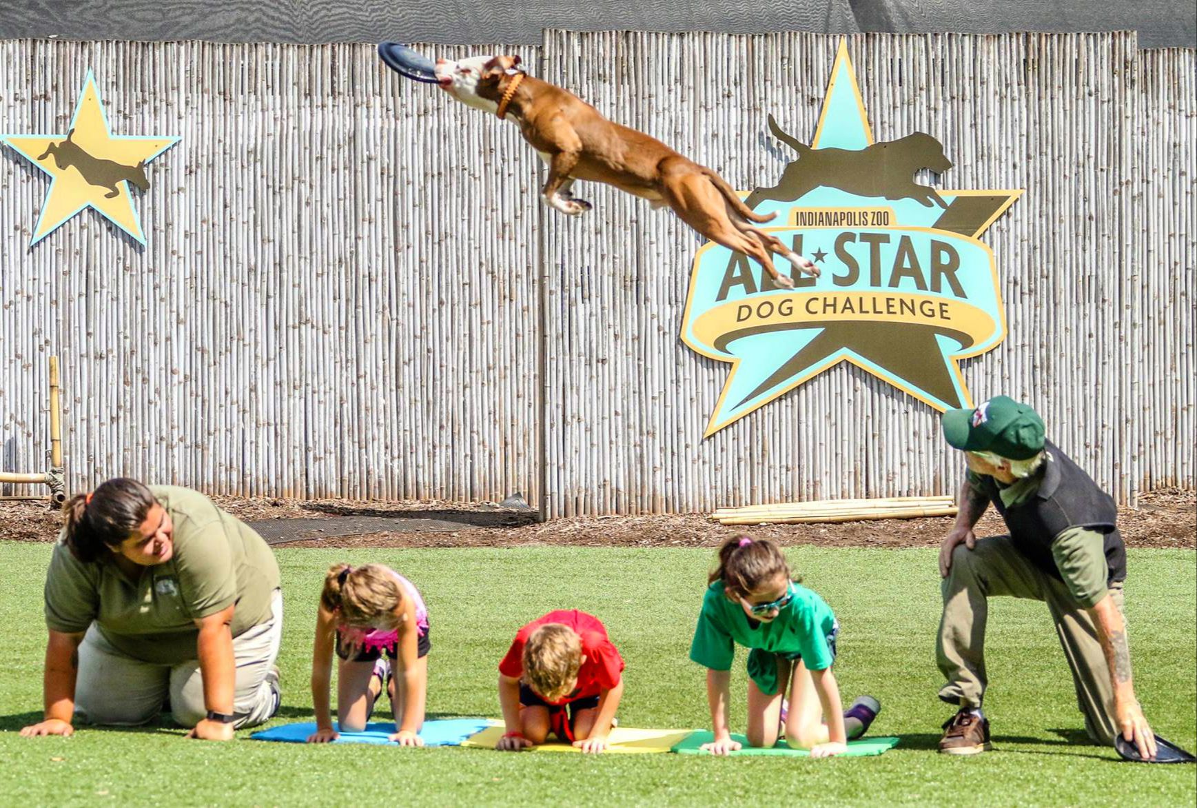 Indianapolis Zoo Frisbee Dog Show