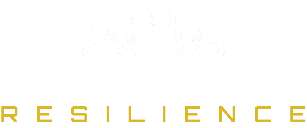 Footer Logo