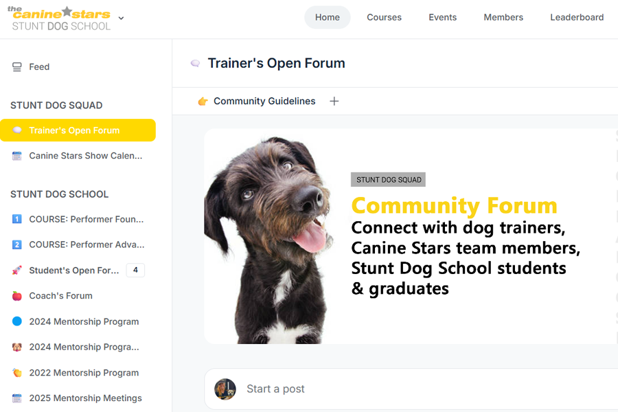 Stunt Dog Squad Community Forum for dog trainers