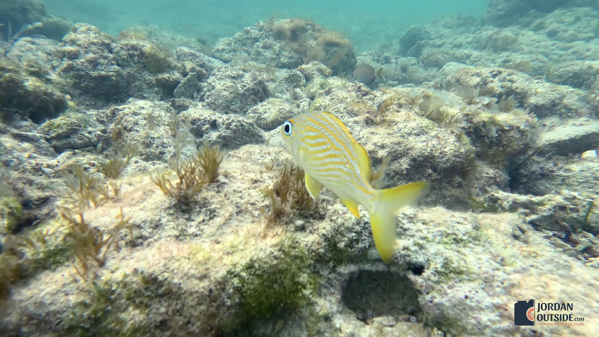The Columbus Monument/Lucayan Memorial
