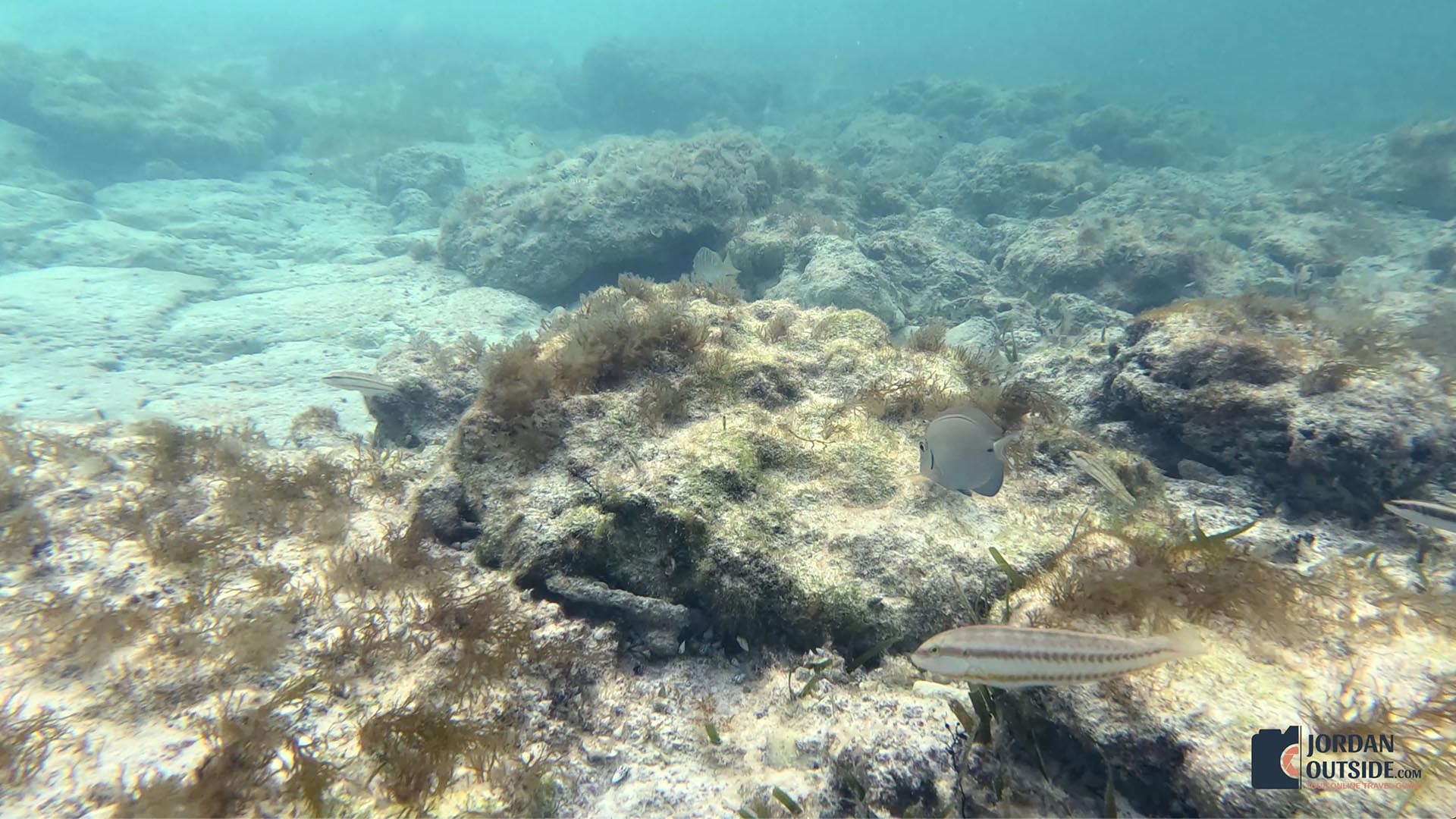 The Columbus Monument/Lucayan Memorial