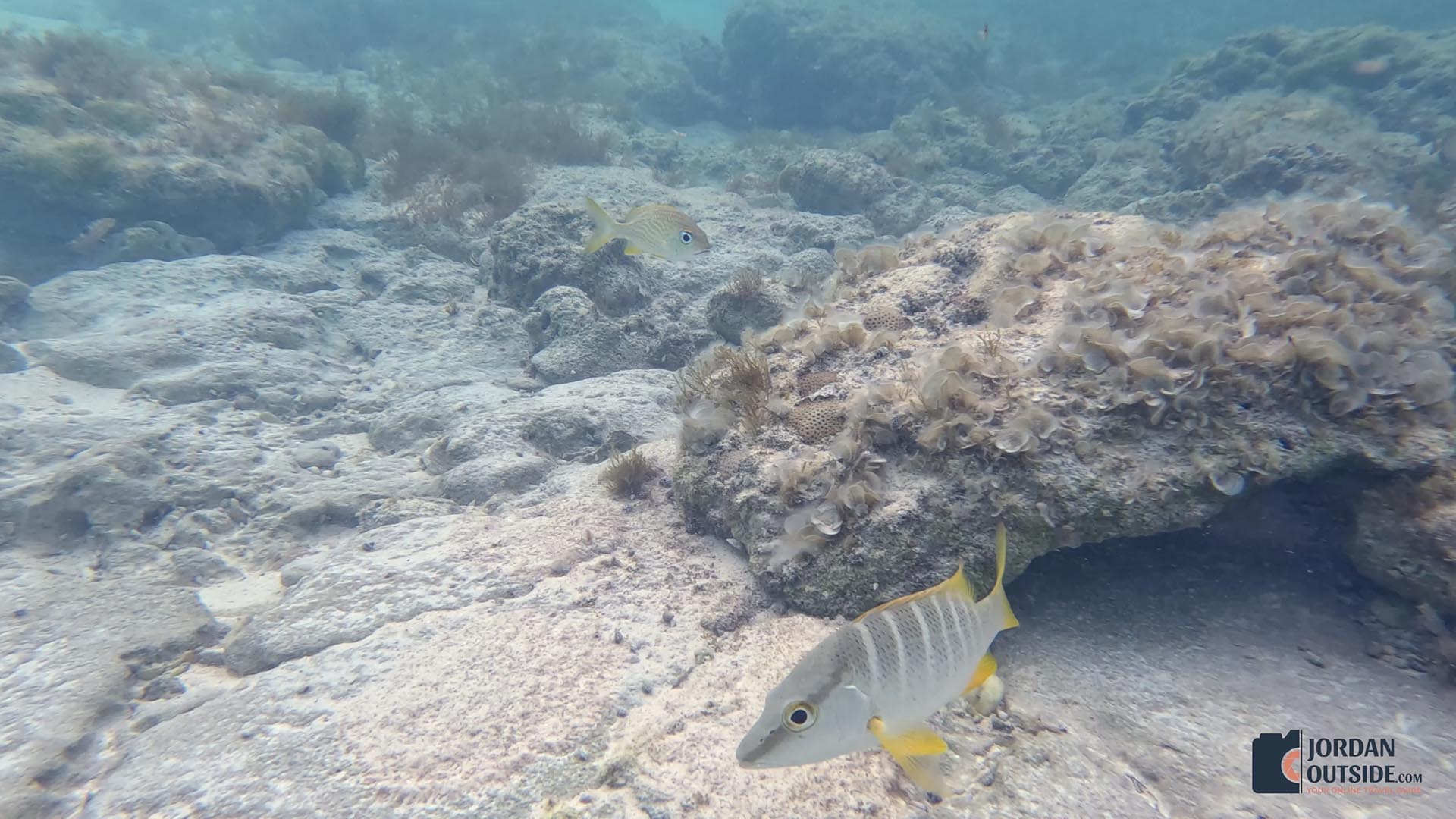 The Columbus Monument/Lucayan Memorial