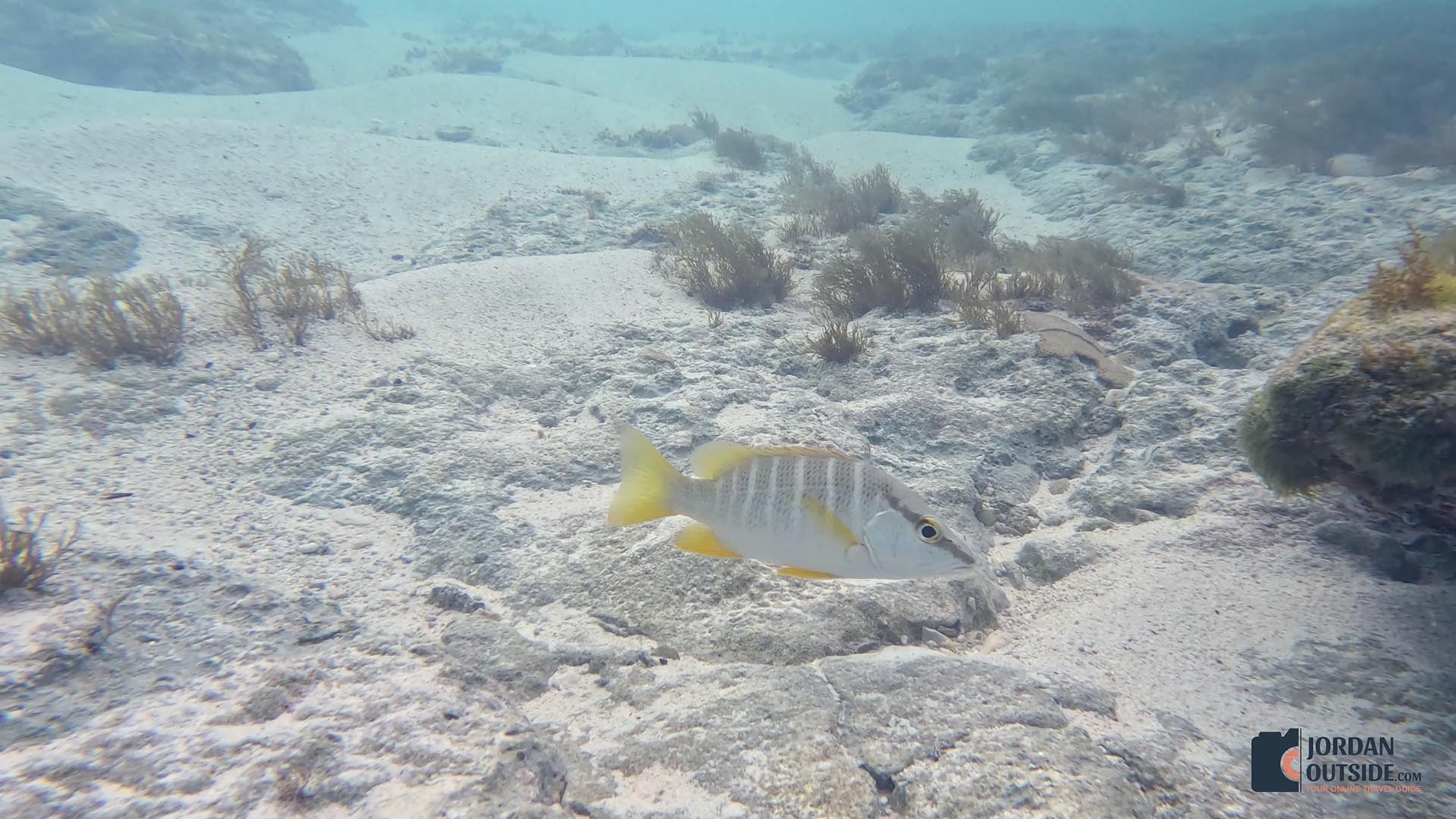 The Columbus Monument/Lucayan Memorial