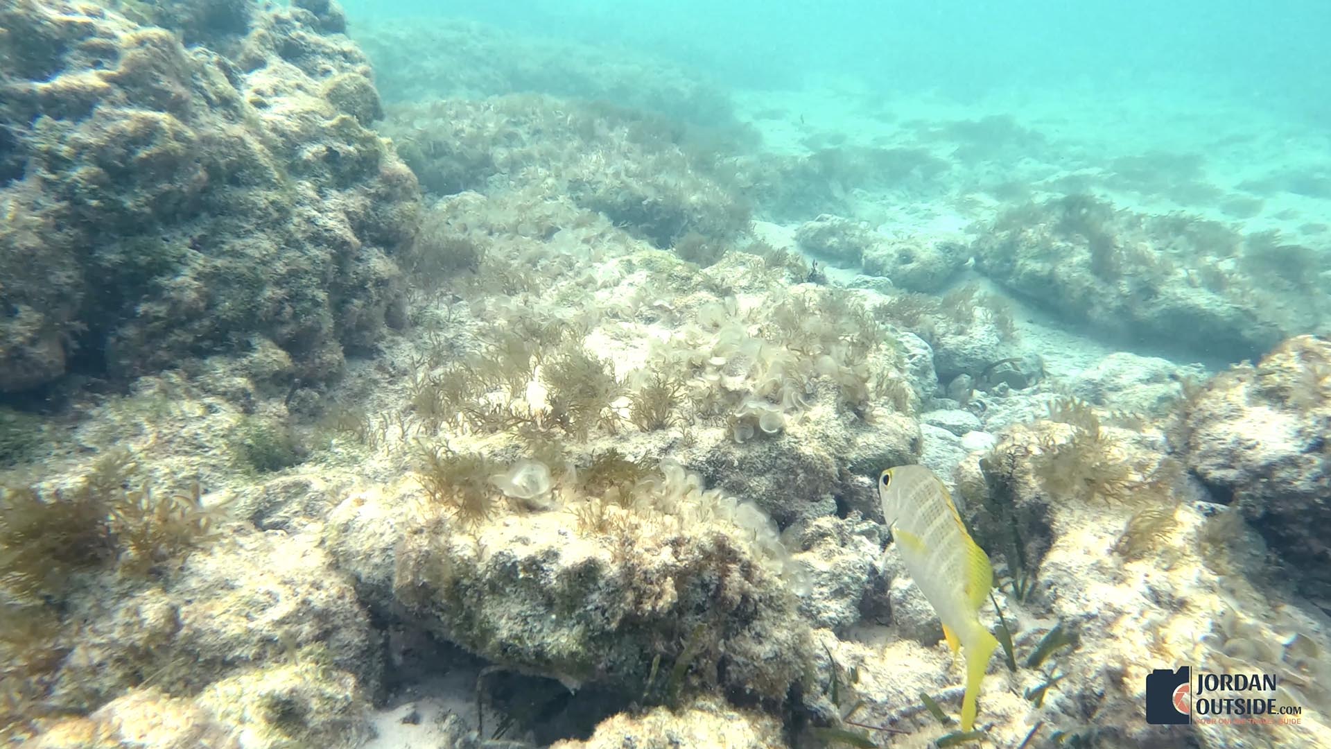 The Columbus Monument/Lucayan Memorial