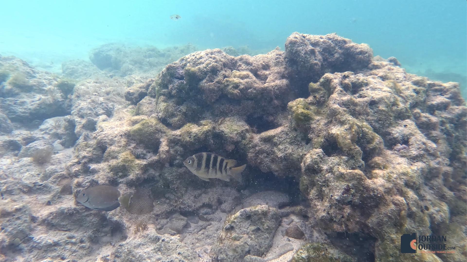 The Columbus Monument/Lucayan Memorial