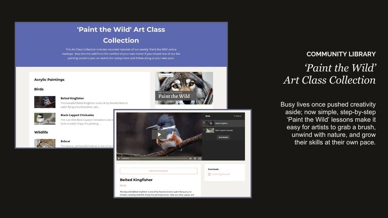 Paint the Wild Art Class Collection