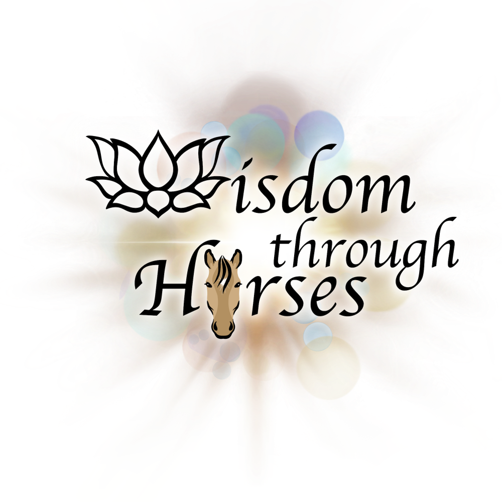Wisdom Through Horses™