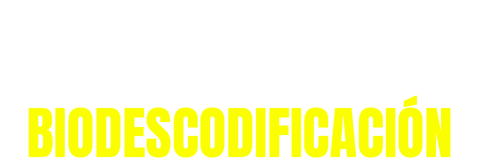 Logo sección
