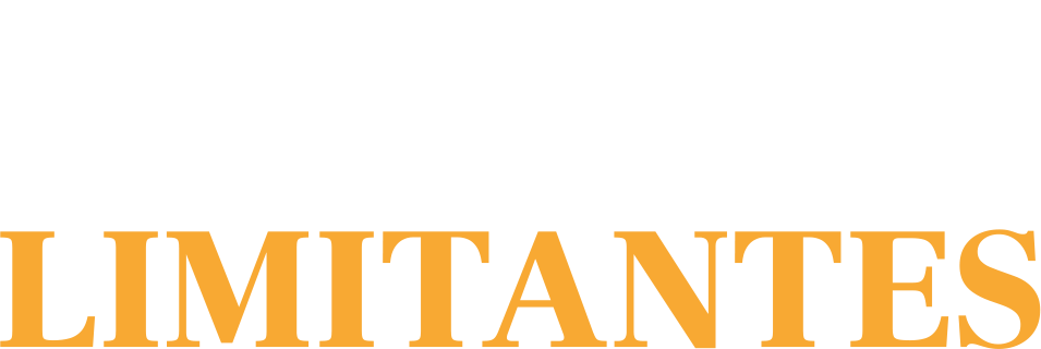 Logo sección