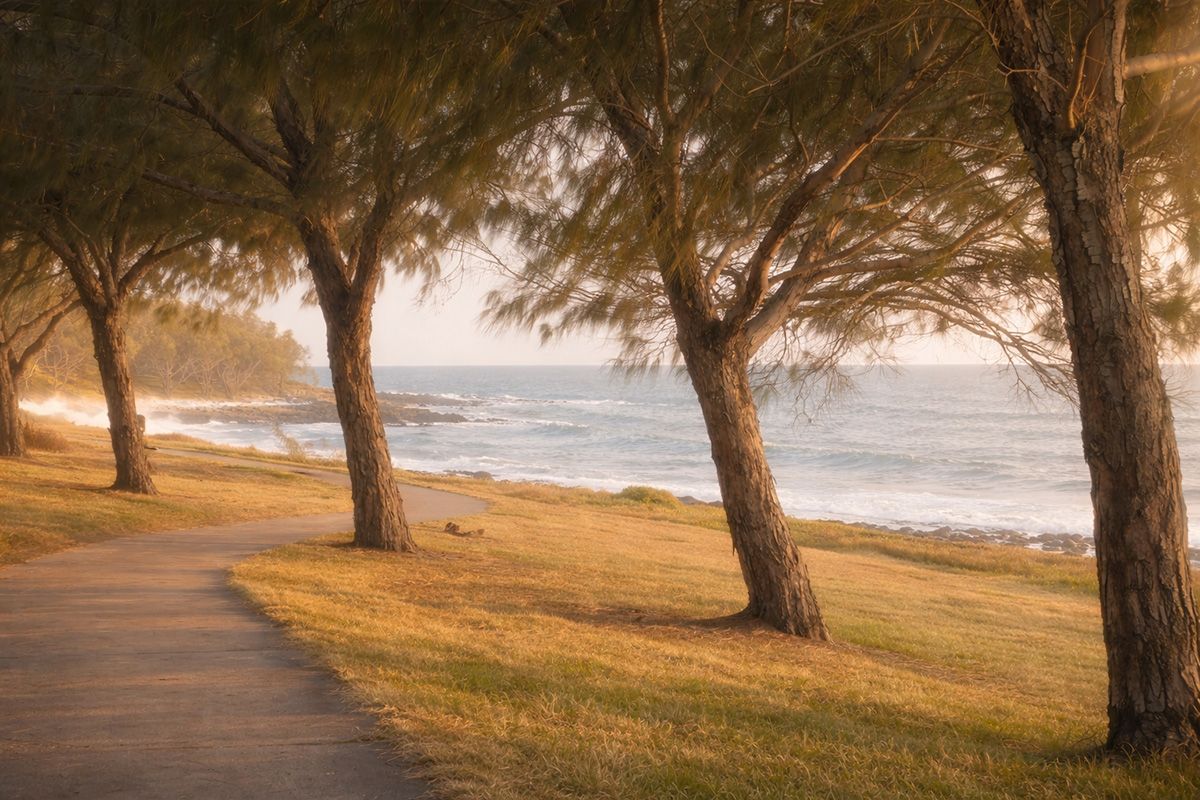 Curving tree-lined pathwat by the ocean.