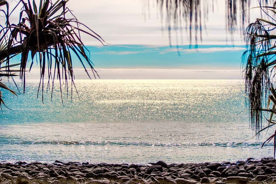 Placid beach scene with palm trees